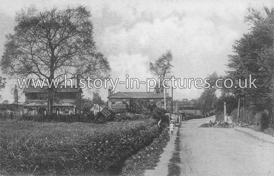 Railway Station and Hotel, Clacton Road, Weeley. c.1909
